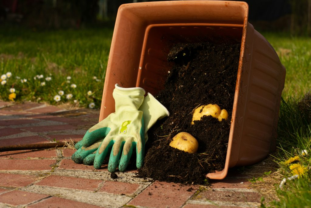 compost box filled with organic scraps and garden clippings, nestled in a lush backyard garden.