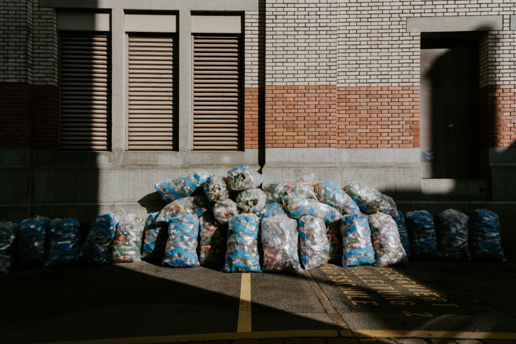 Biomimicry in Recycling: How Nature Inspires Human Waste Management