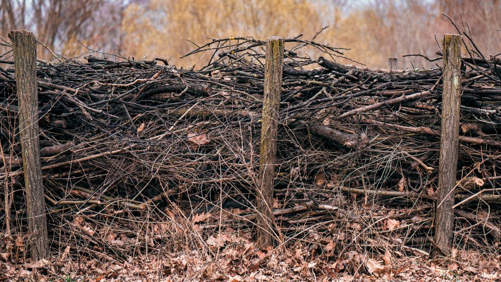 mika-baumeister-oaWWf96m-l0-unsplash